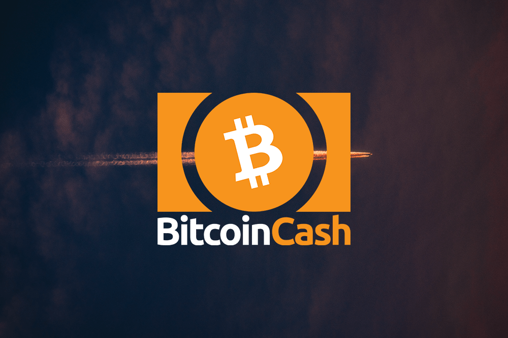 Bitcoin Cash price Possible market for buyers with profit level at