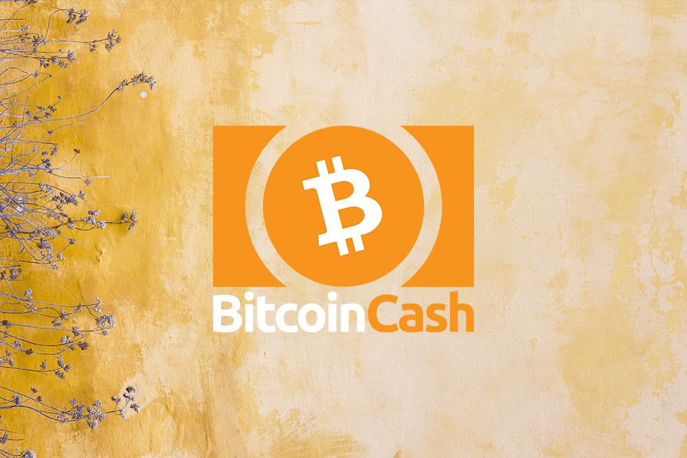 El precio Bitcoin Cash se recupera por encima