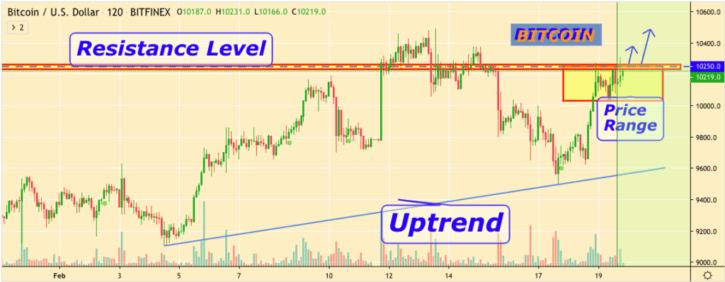 График цен Bitcoin BTC Моисеев Юрий - 19 февраля 2020 г.