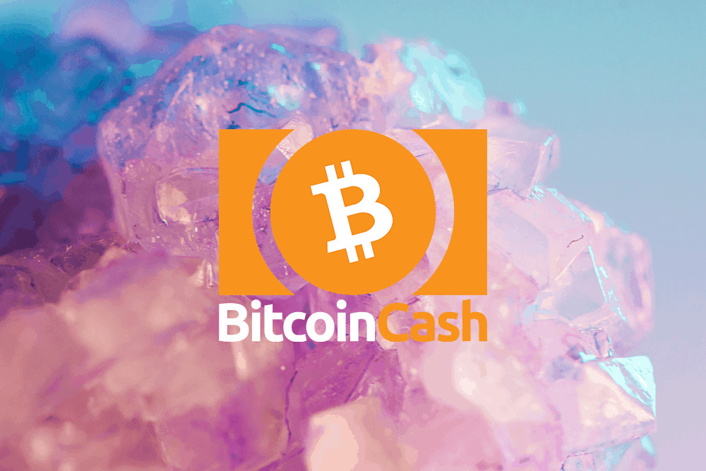 Bitcoin Cash price falls to