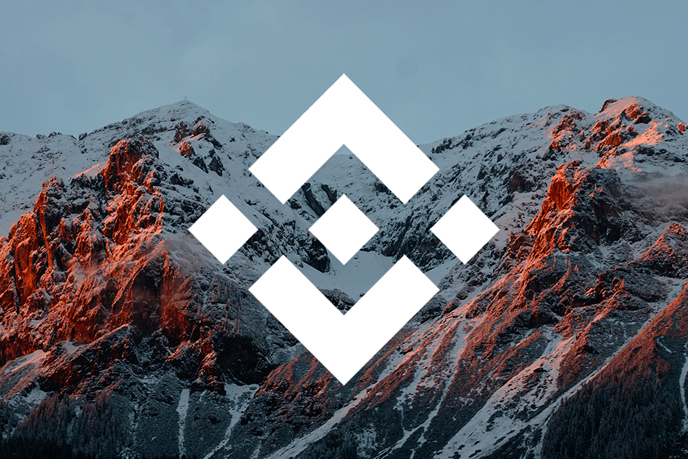 Binance Coin price rises to