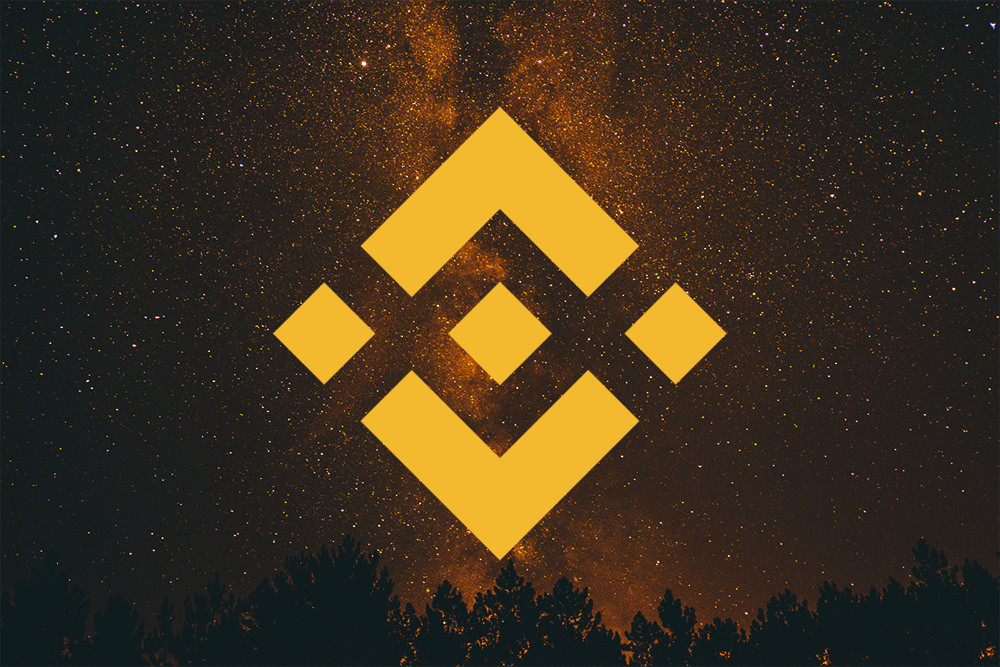 Binance Coin price falls to
