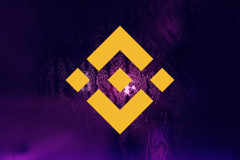 Binance Coin price rises to