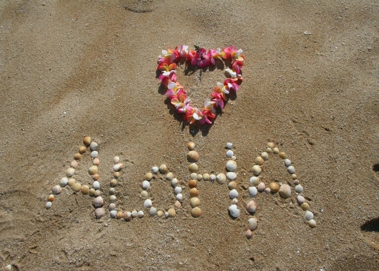 Hawaii digital currency pilot program now accepting applications