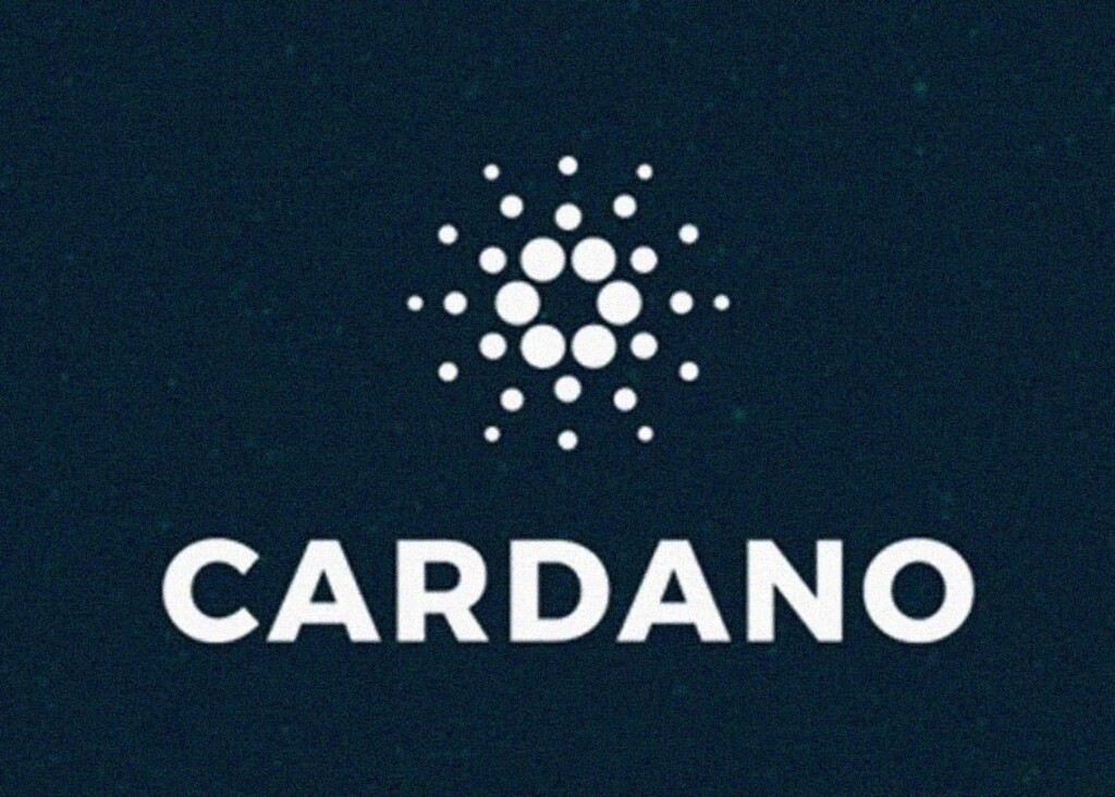 Is Wikipedia censoring Cardano founder?