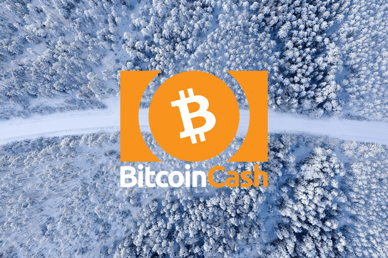 Le prix du Bitcoin Cash atteint une résistance clé mais reste en place