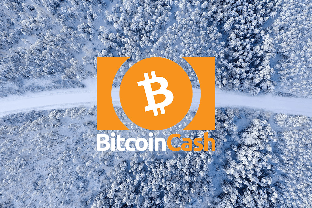 Bitcoin Cash Kurs erreicht einen wichtigen Widerstand