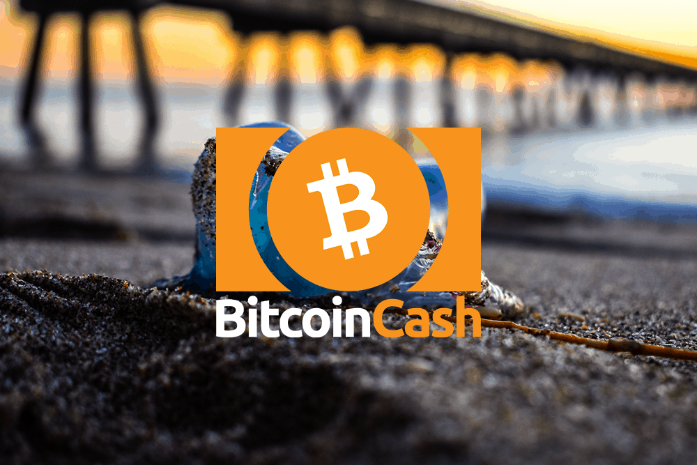 Bitcoin Cash price rises to what s next