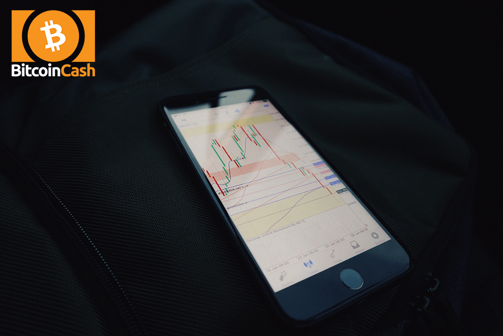 Bitcoin Cash price falls below what s next