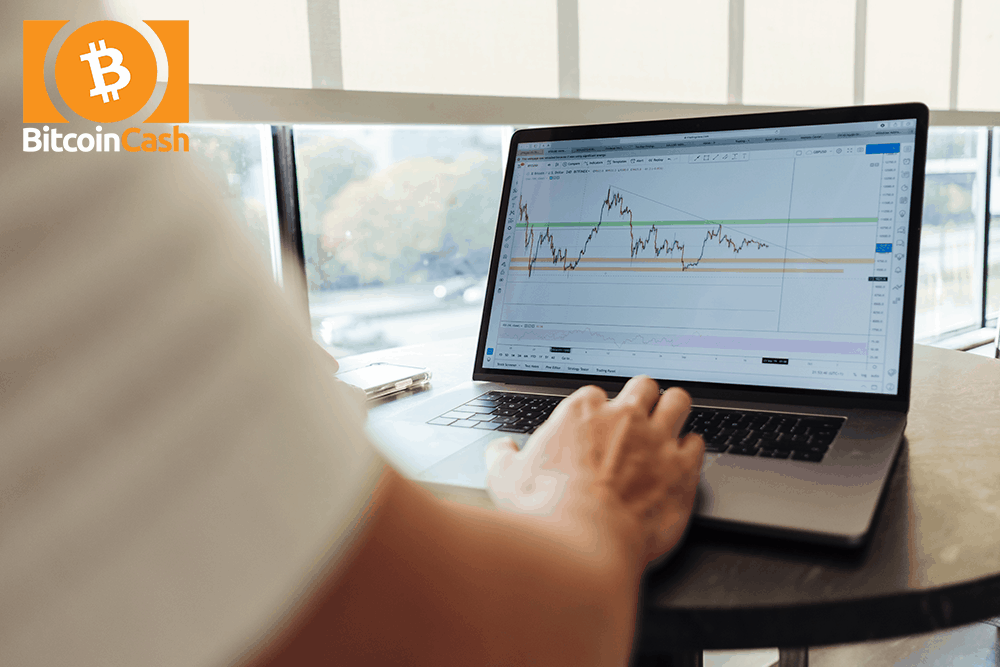 Bitcoin Cash price rests at what s next