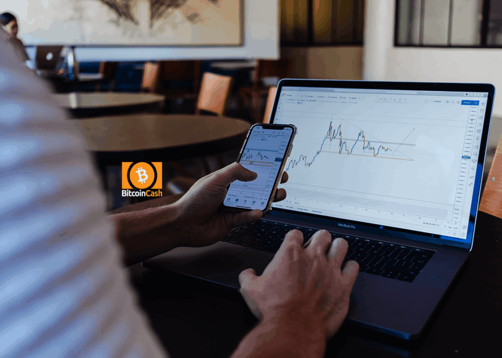 Bitcoin Cash price rises above $246: what’s next?