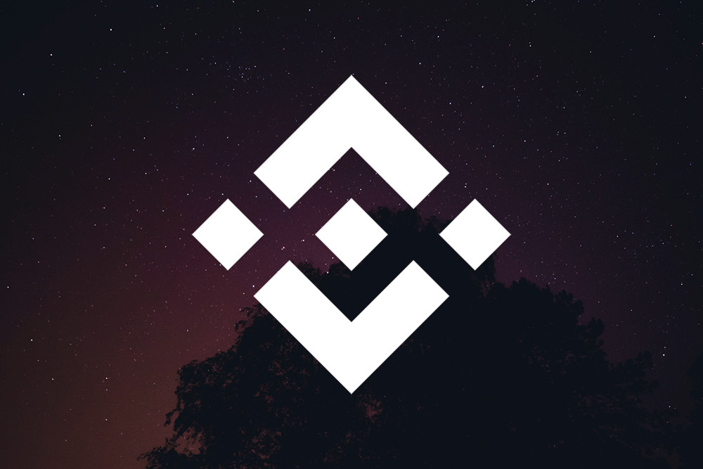 Binance Coin Titelbild