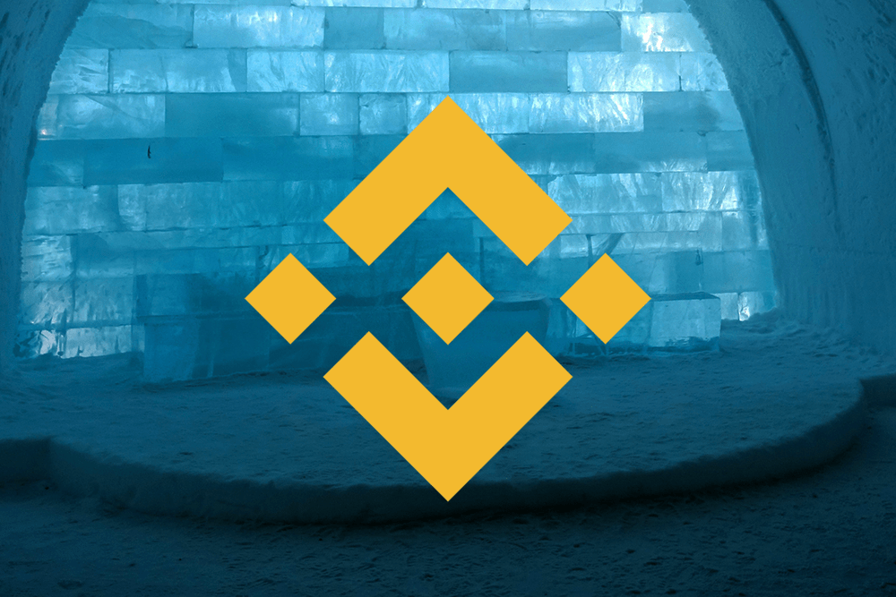 Binance Coin price rests near