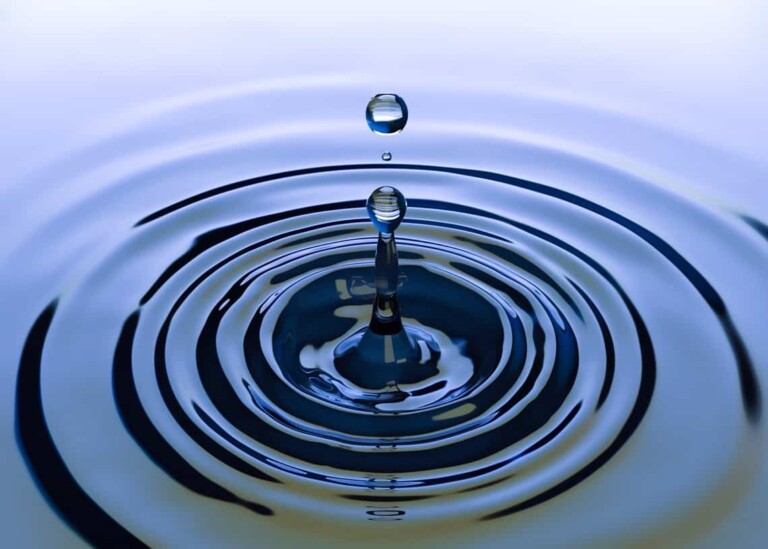 Woeful Ripple run