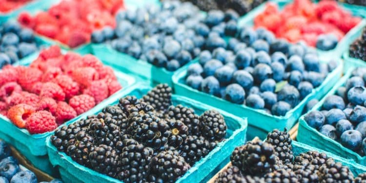 California Giant Berry Farms joins IBM Food Trust for blockchain compliance
