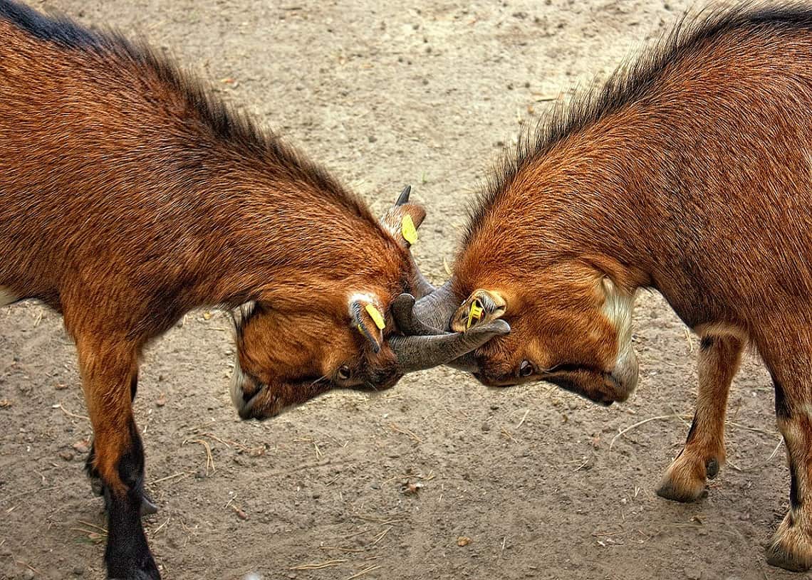 Wootrade привлекает инвестиции в размере M, готовясь превзойти Binance по ликвидности