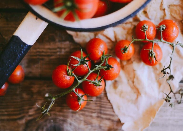 Tokenfarm creates Italian blockchain tomato tracing pilot on VeChain