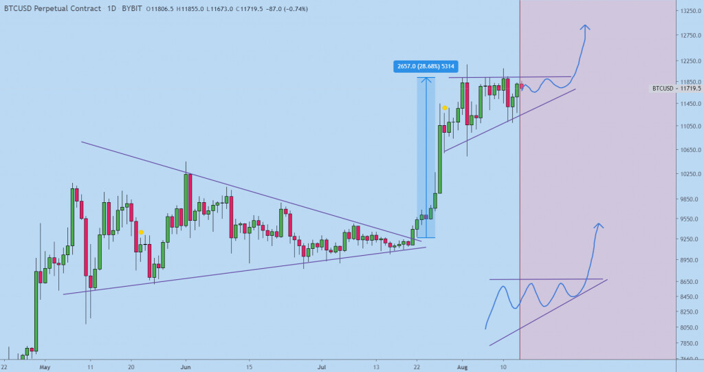 Bitcoin 价格图表(8月2日至13日)