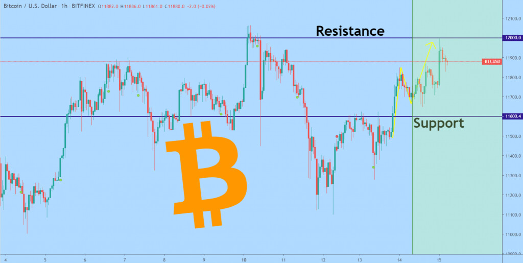 График цены Bitcoin 2–14 августа