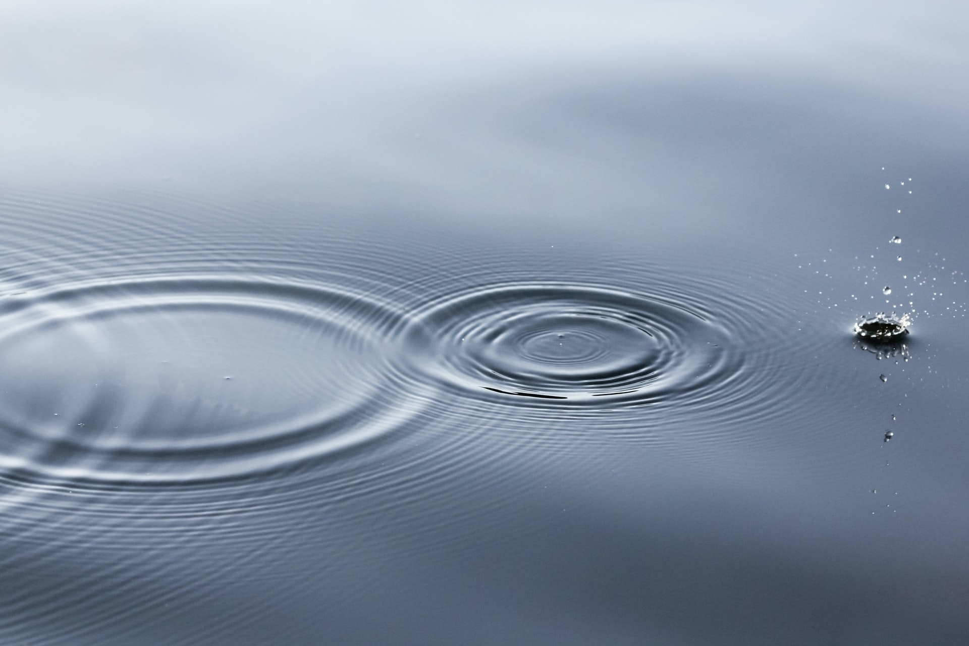 Prix Ripple 