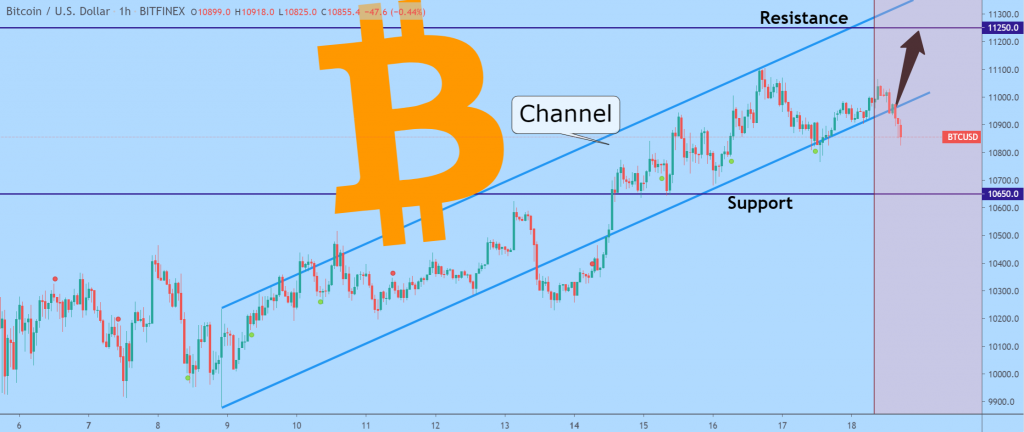 Gráfico del precio Bitcoin del 3 al 17 de septiembre