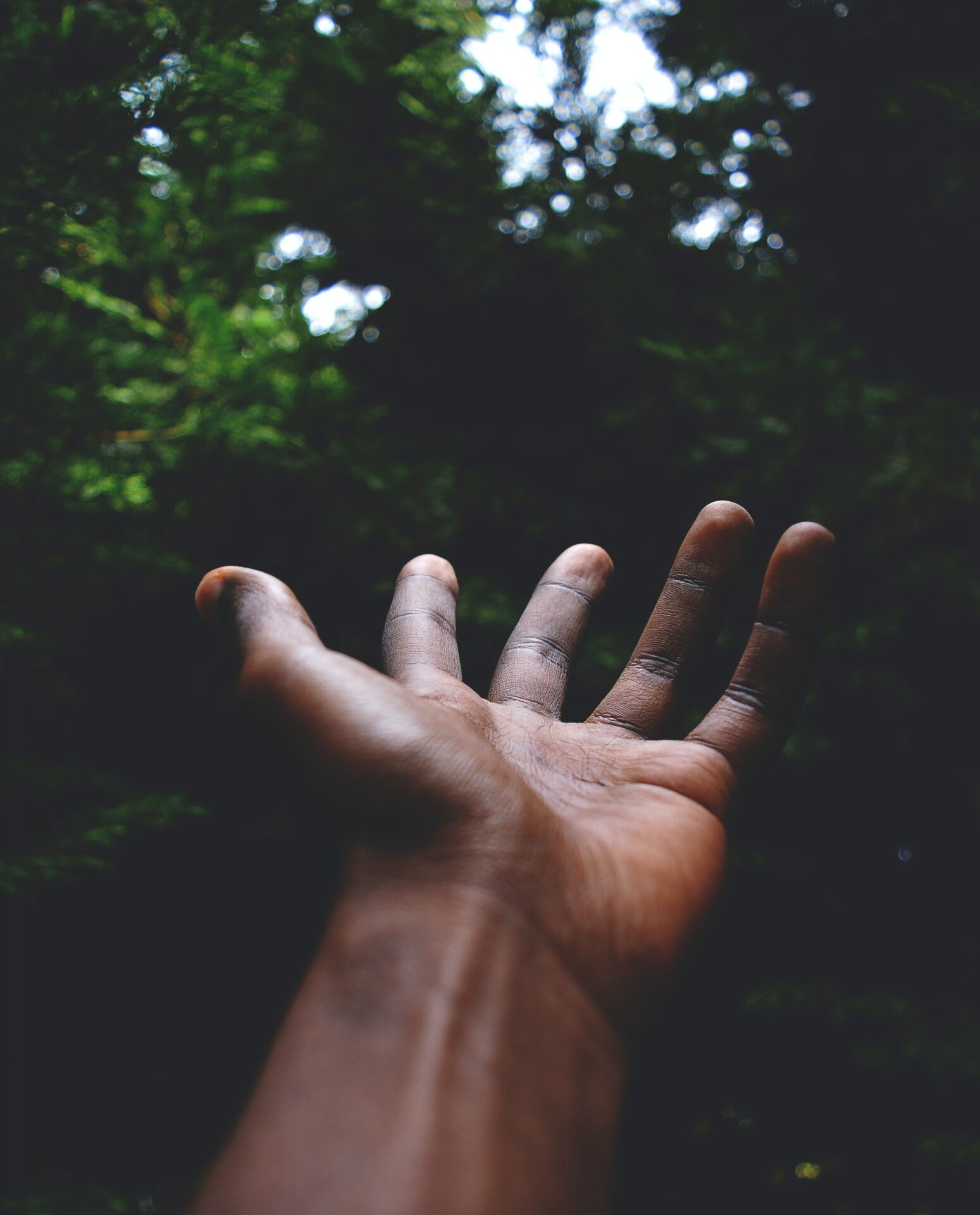 ルイ・シルベストレ ul ZsFLIjvw unsplash