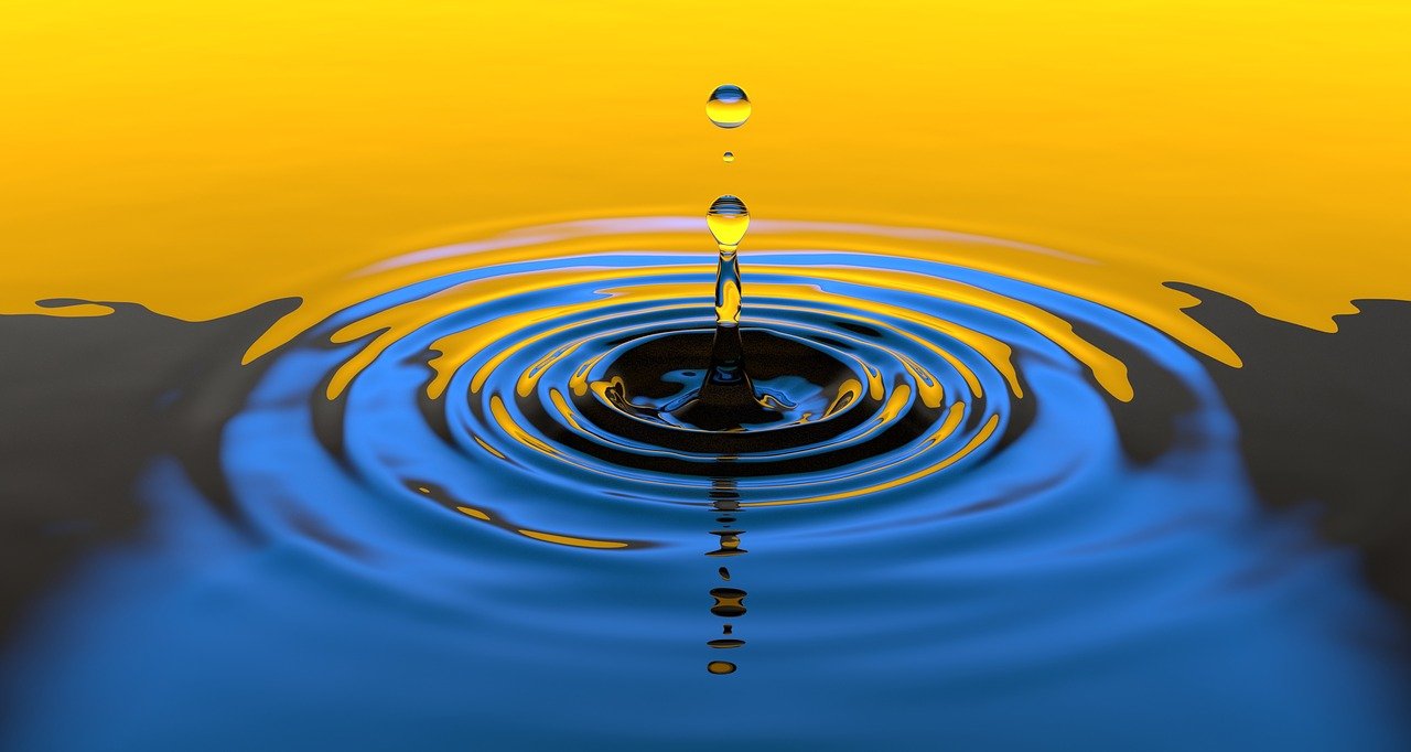 Prix Ripple 