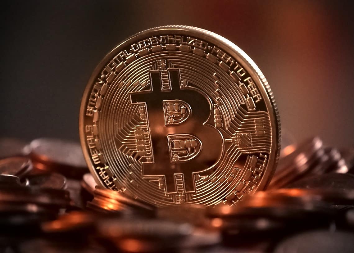 Raoul Pal Bitcoin 持有者