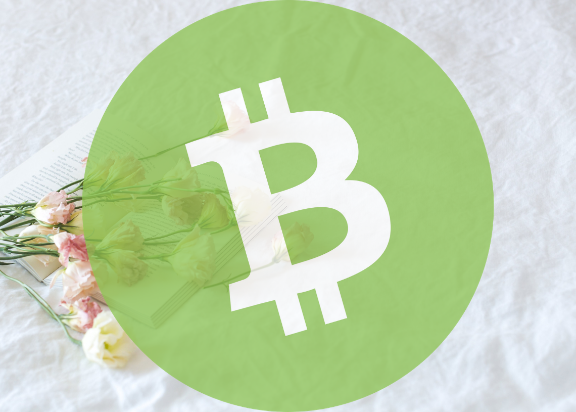 Bitcoin Cash 가격