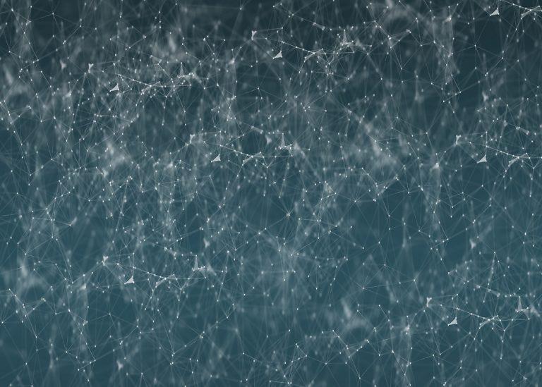 توقعات سعر بولكادوت