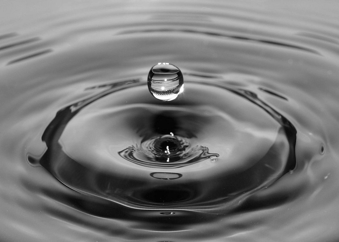 Ripple Price Prediction