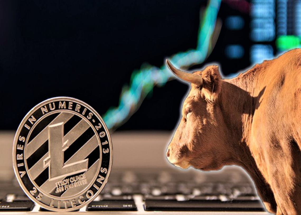 LTC 가격 예측