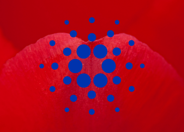Cardano price