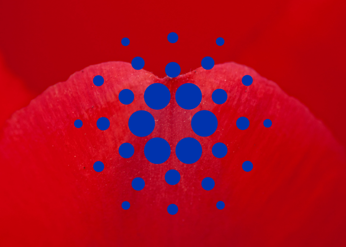 Cardano 가격