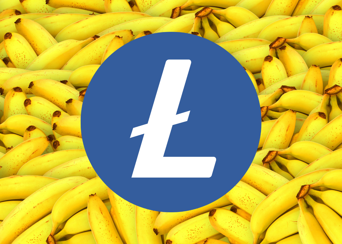 Litecoin 가격 A