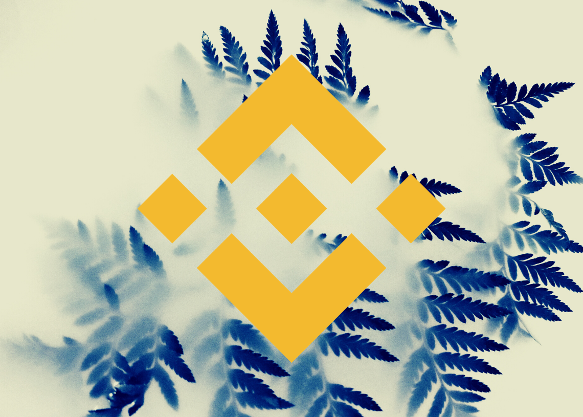 Precio Binance Coin