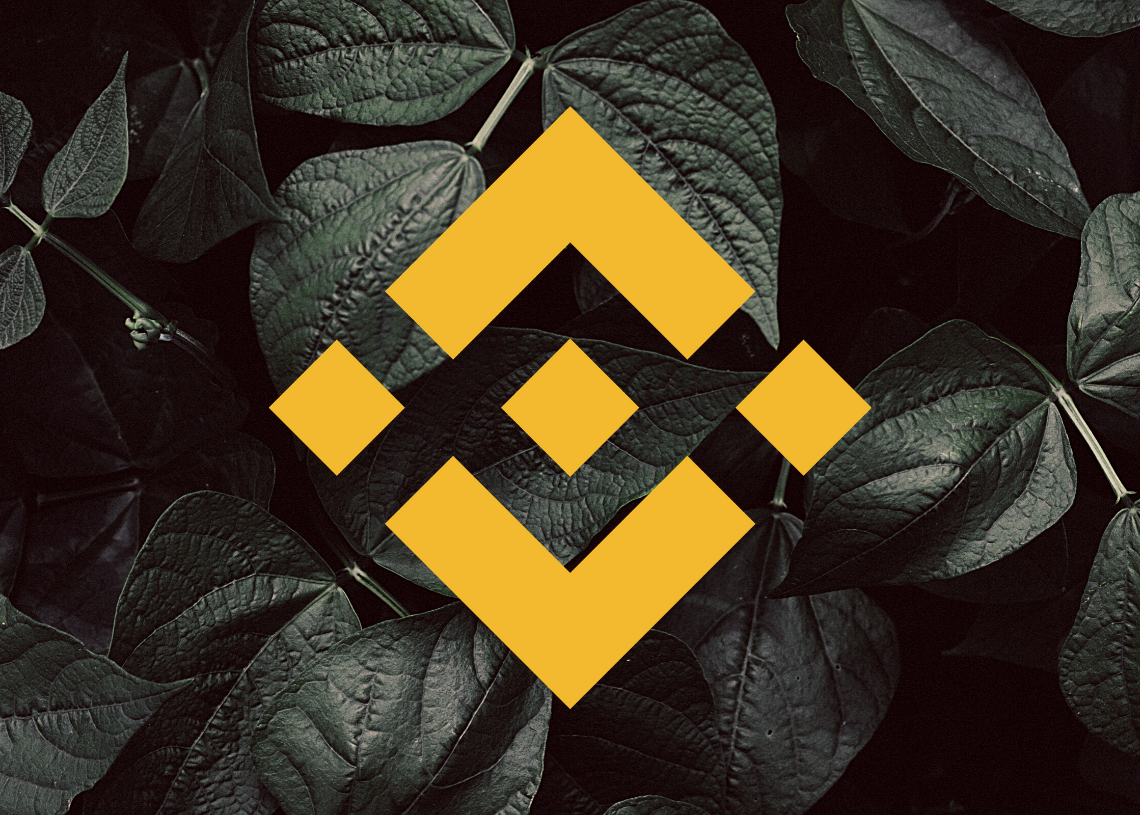 Precio Binance Coin