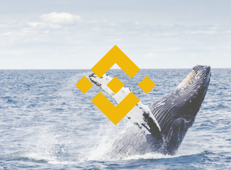 Прогноз цены Binance Coin