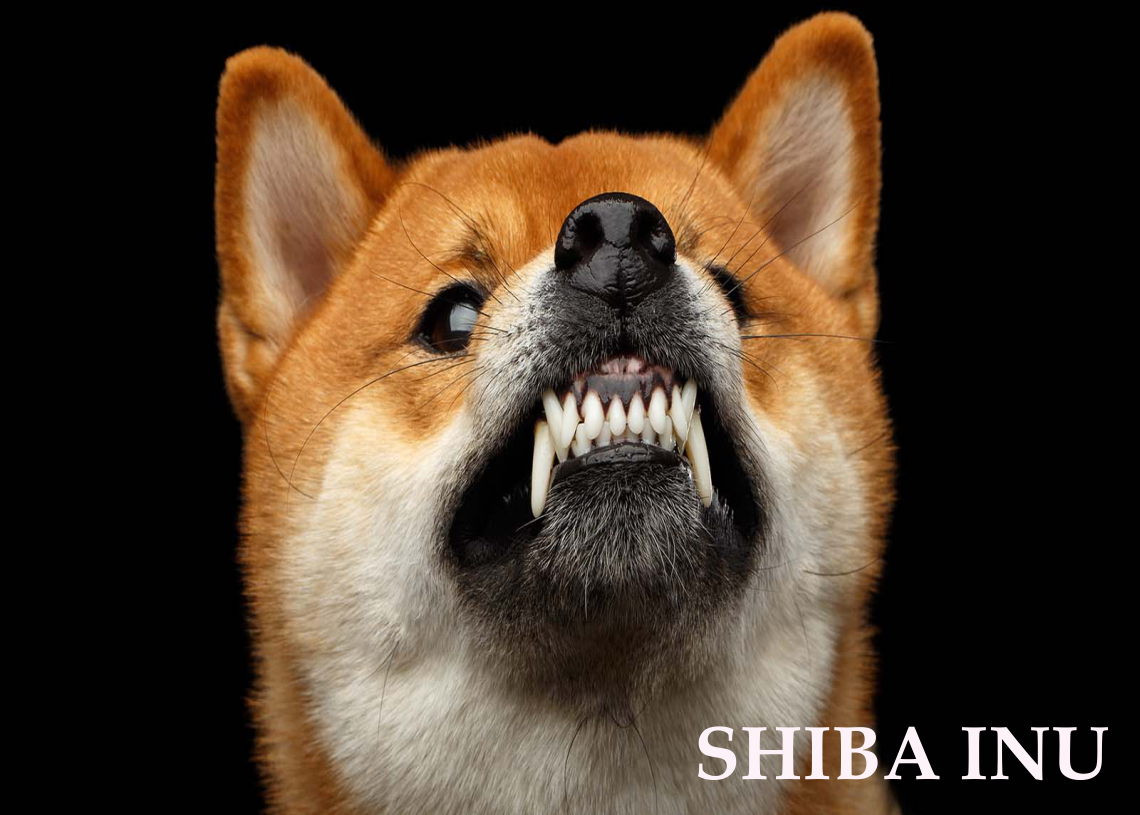 Análisis de precios Shiba Inu