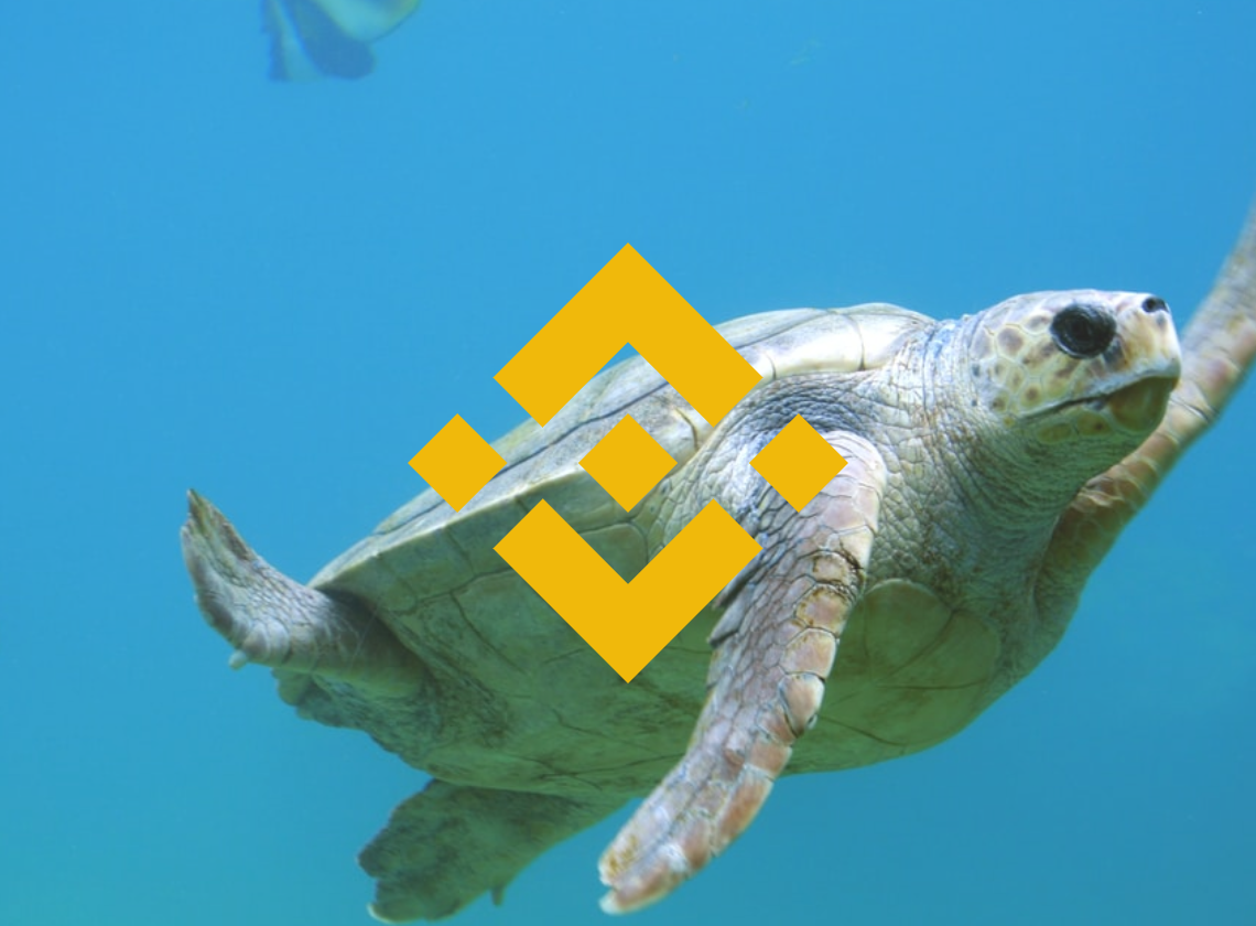 Binance Coin price analysis