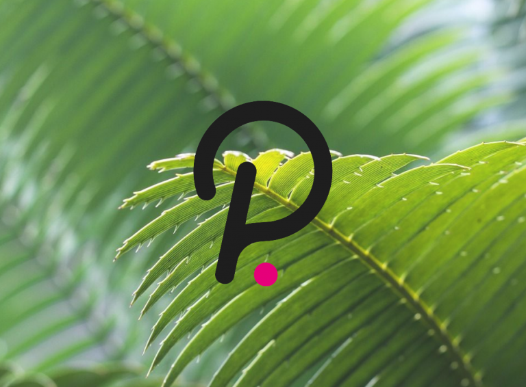 Анализ цен на Polkadot