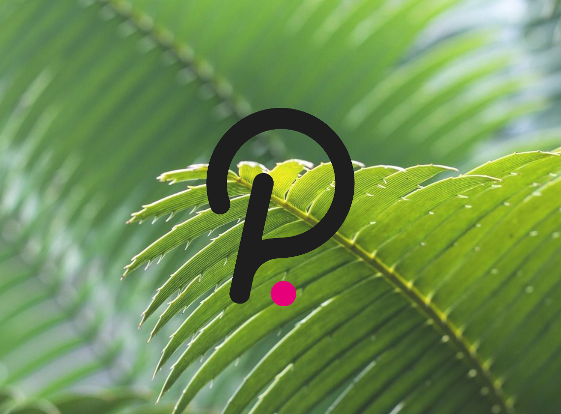Polkadot price analysis