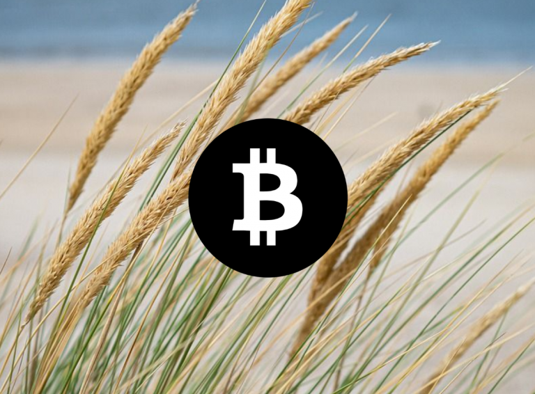 VeChain 价格分析