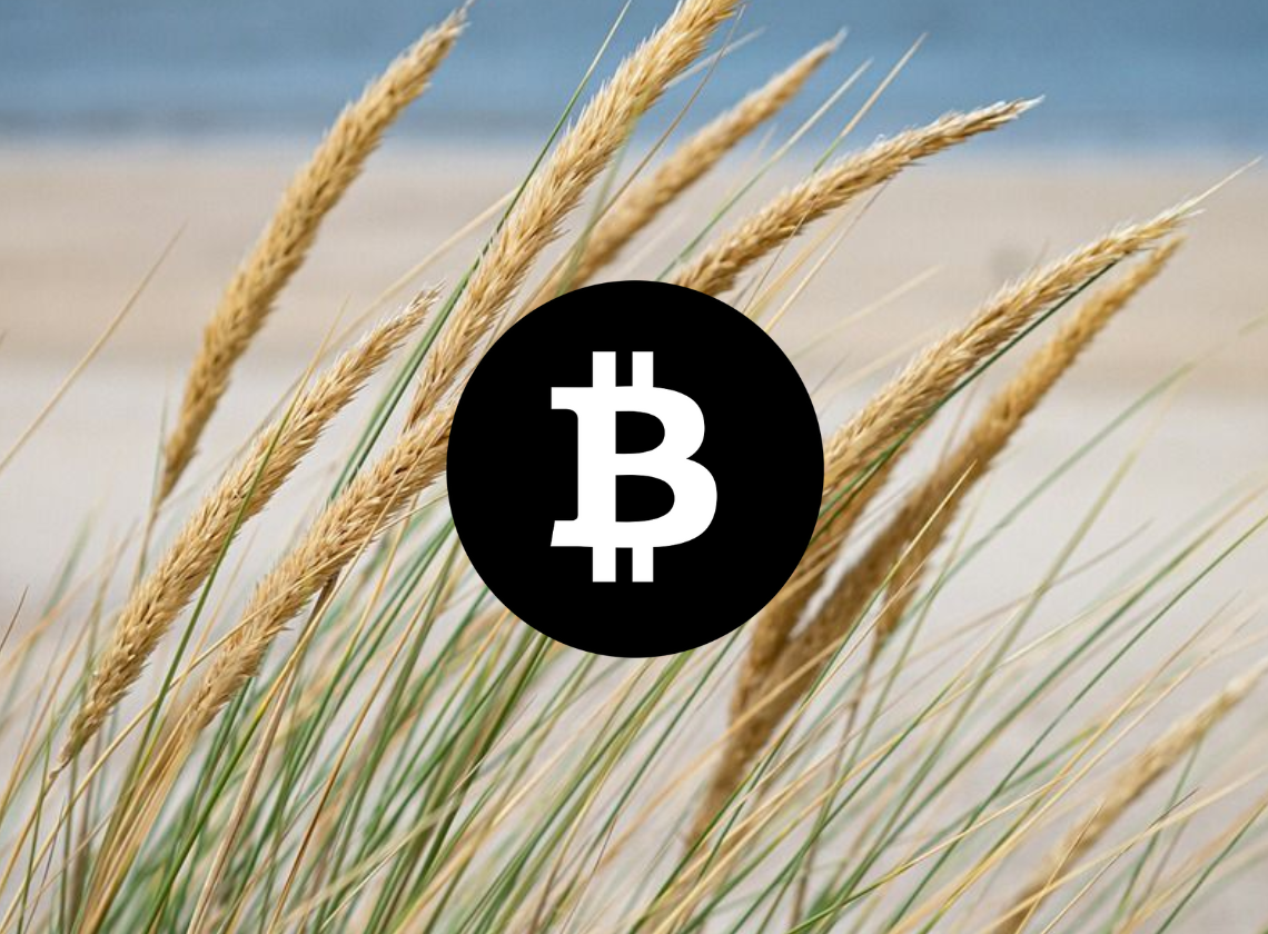 VeChain Price analysis