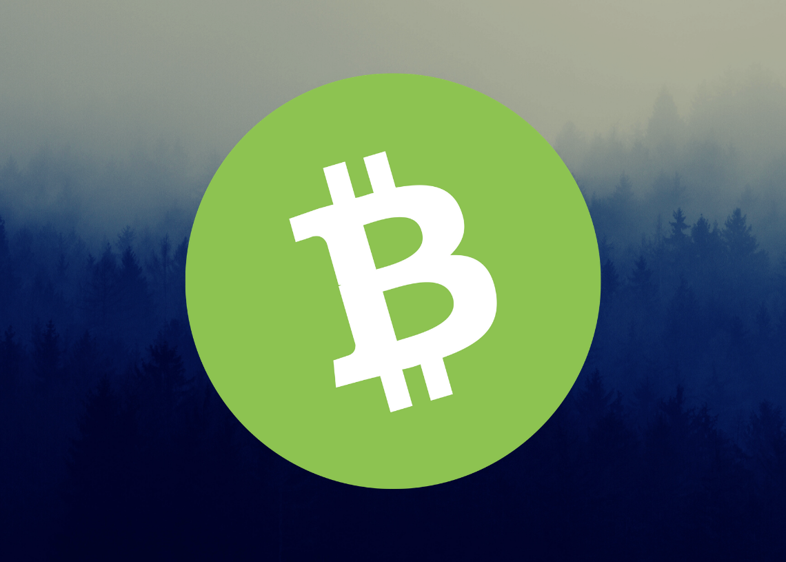 Bitcoin Cash Preis