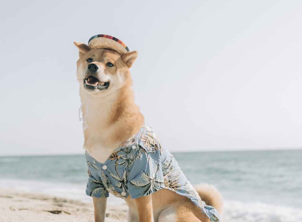 Shiba Inu Price analysis