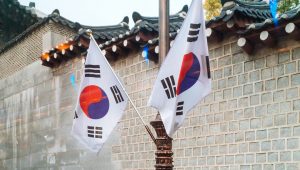 Korean exchanges warn users against trading LUNA amid price slump