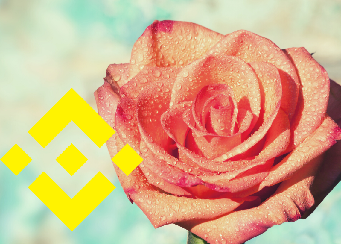 Prezzo della moneta Binance 