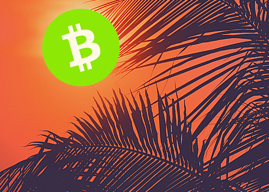 Bitcoin Cash Preis