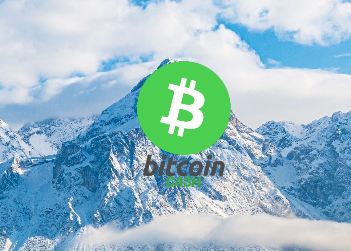 Bitcoin cash price analysis price levels elevate upto after prolonged crisis